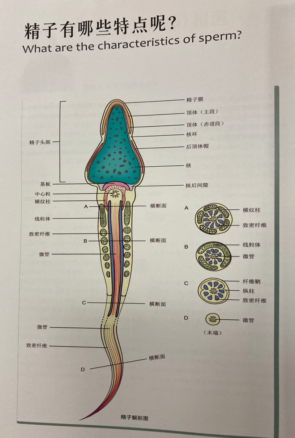 第197页