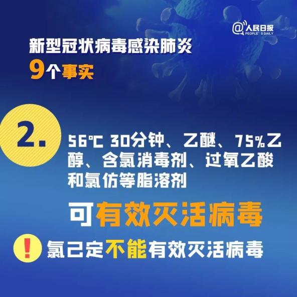 新冠病毒最新来源发布与全球影响分析