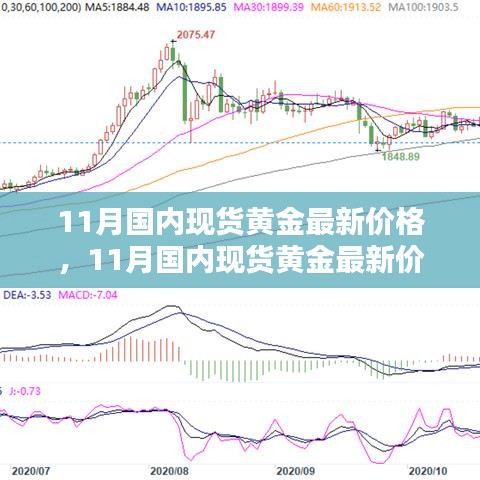 最新黄金价格分析与预测报告