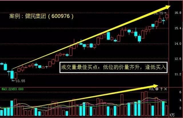 2024澳门特马今晚开奖56期的,实地分析数据设计_基础版67.86