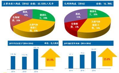 2024新奥正版资料免费,实地分析数据设计_挑战款68.258